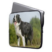Grenzcollie-Keuchen stehend Laptopschutzhülle (Vorderseite Links)