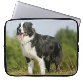 Grenzcollie-Keuchen stehend Laptopschutzhülle (Vorderseite)