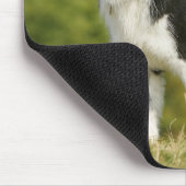 Grenzcollie-Keuchen stehend Mousepad (Ecke)