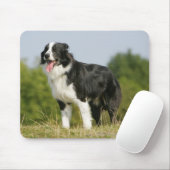 Grenzcollie-Keuchen stehend Mousepad (Mit Mouse)