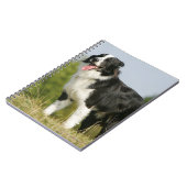 Grenzcollie-Keuchen stehend Notizblock (Linke Seite)