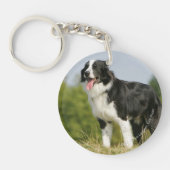 Grenzcollie-Keuchen stehend Schlüsselanhänger (Vorderseite)