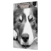 GRENZCOLLIE KLEMMBRETT (Links)