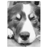 GRENZCOLLIE KLEMMBRETT (Rückseite)