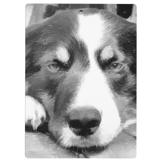 GRENZCOLLIE KLEMMBRETT (Rückseite)