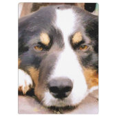 GRENZCOLLIE KLEMMBRETT (Rückseite)