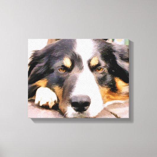 GRENZCOLLIE LEINWANDDRUCK (Vorderseite)