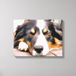 GRENZCOLLIE LEINWANDDRUCK