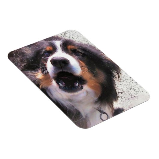 GRENZCOLLIE MAGNET (Rechte Seite)