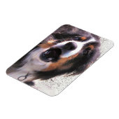 GRENZCOLLIE MAGNET (Linke Seite)