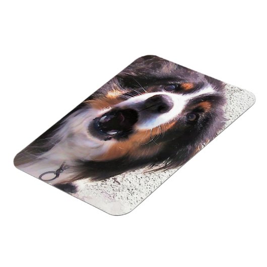GRENZCOLLIE MAGNET (Linke Seite)