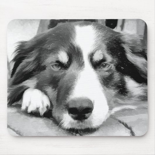 GRENZCOLLIE MOUSEPAD (Vorne)