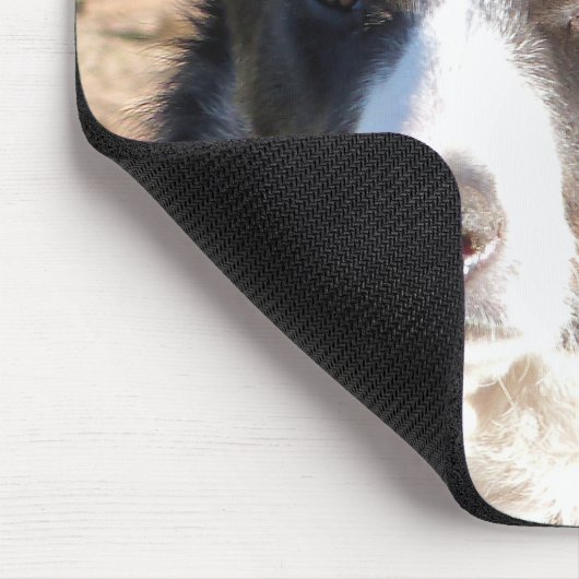 GRENZCOLLIE MOUSEPAD (Ecke)
