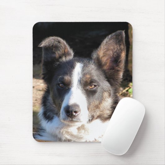GRENZCOLLIE MOUSEPAD (Mit Mouse)