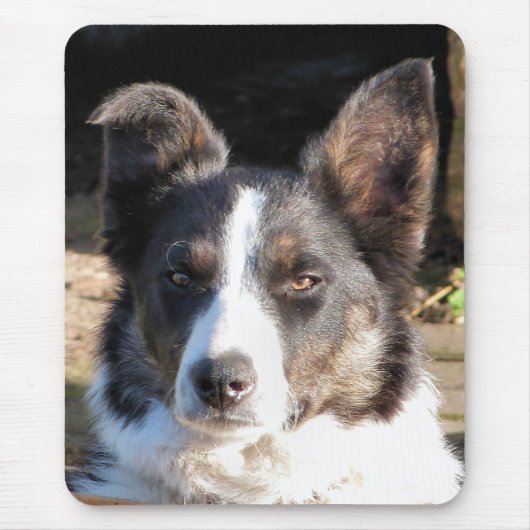 GRENZCOLLIE MOUSEPAD (Vorne)