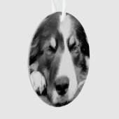 GRENZCOLLIE ORNAMENT (Vorderseite)