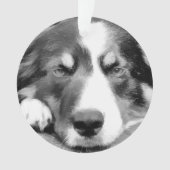 GRENZCOLLIE ORNAMENT (Vorderseite)