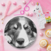 GRENZCOLLIE PAPPTELLER (Party)