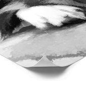 GRENZCOLLIE POSTER (Ecke)