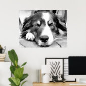 GRENZCOLLIE POSTER (Heimbüro)