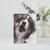 GRENZCOLLIE POSTKARTE (Stehend Vorderseite)