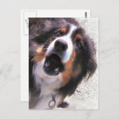 GRENZCOLLIE POSTKARTE (Vorne/Hinten)