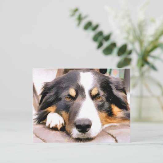 GRENZCOLLIE POSTKARTE (Stehend Vorderseite)