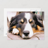 GRENZCOLLIE POSTKARTE (Vorne/Hinten)