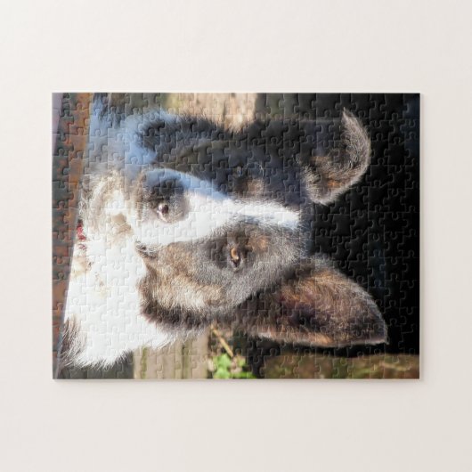 GRENZCOLLIE PUZZLE (Horizontal)