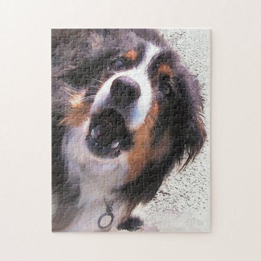GRENZCOLLIE PUZZLE (Vertikal)