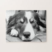 GRENZCOLLIE PUZZLE (Horizontal)