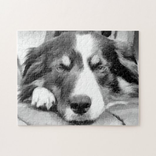 GRENZCOLLIE PUZZLE (Horizontal)