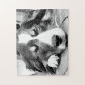 GRENZCOLLIE PUZZLE (Vertikal)