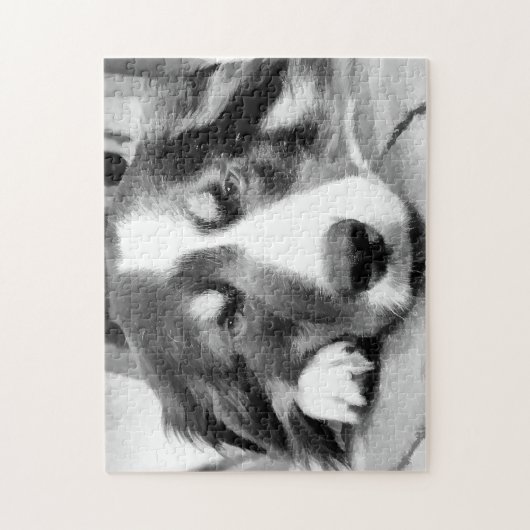 GRENZCOLLIE PUZZLE (Vertikal)