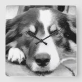 GRENZCOLLIE QUADRATISCHE WANDUHR (Vorderseite)