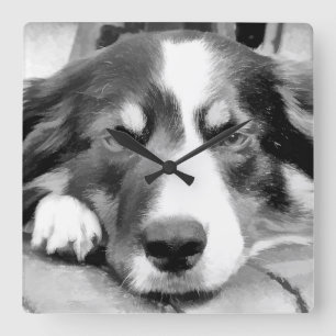 GRENZCOLLIE QUADRATISCHE WANDUHR