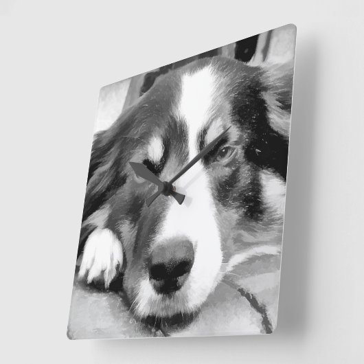 GRENZCOLLIE QUADRATISCHE WANDUHR (Winkel)