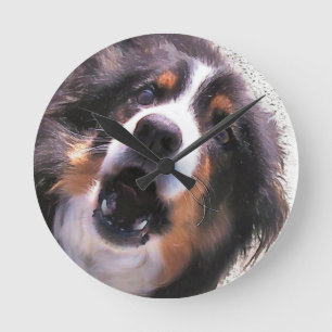 GRENZCOLLIE RUNDE WANDUHR