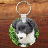 GRENZCOLLIE SCHLÜSSELANHÄNGER (Vorderseite)
