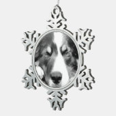 GRENZCOLLIE SCHNEEFLOCKEN Zinn-Ornament (Rechts)