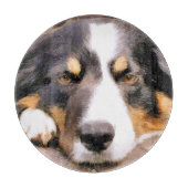 GRENZCOLLIE SCHNEIDEBRETT (Vorderseite)