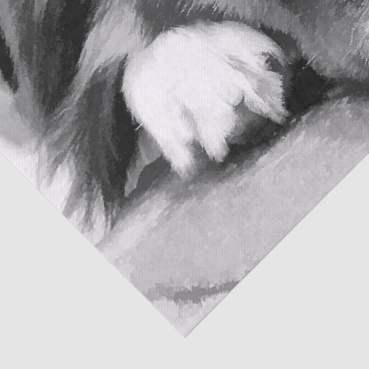 GRENZCOLLIE SEIDENPAPIER (Detail)