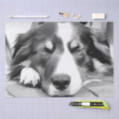 GRENZCOLLIE SEIDENPAPIER (Handwerk)