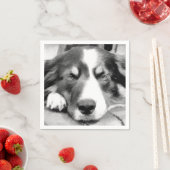 GRENZCOLLIE SERVIETTE (Beispiel)