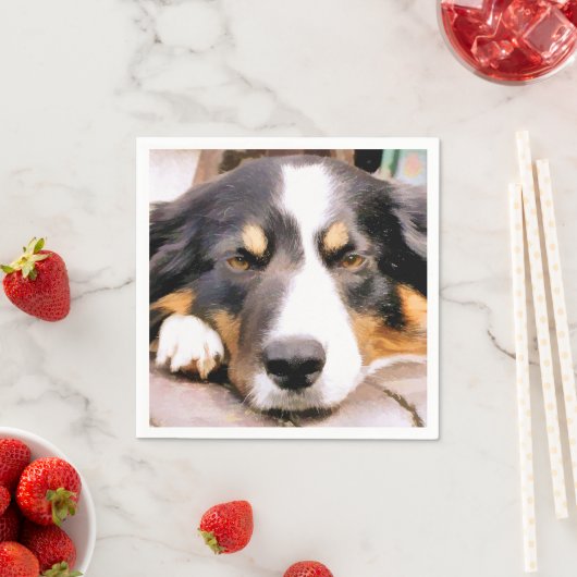 GRENZCOLLIE SERVIETTE (Beispiel)