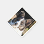 GRENZCOLLIE SERVIETTE (Ecke)