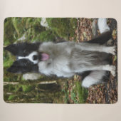 GRENZCOLLIE SHERPADECKE (Vorderseite (Horizontal))