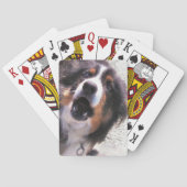 GRENZCOLLIE SPIELKARTEN (Rückseite)