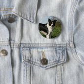 Grenzcollie stehend button (Beispiel)