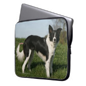 Grenzcollie stehend laptopschutzhülle (Vorderseite Links)